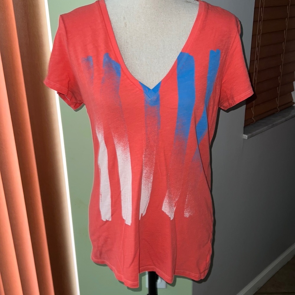 American Eagle Vintage Wash Graphic Vneck Tee